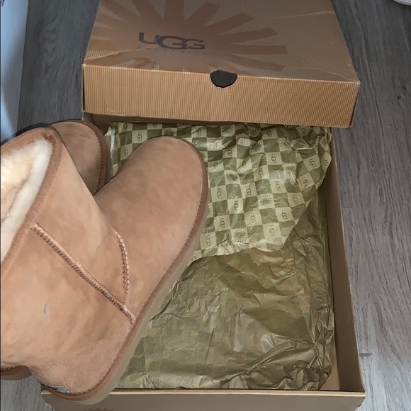 Classic Short Brown Uggs - Picture 6 of 7